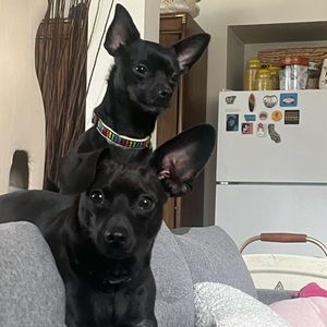 Meet your Posher, Rachael